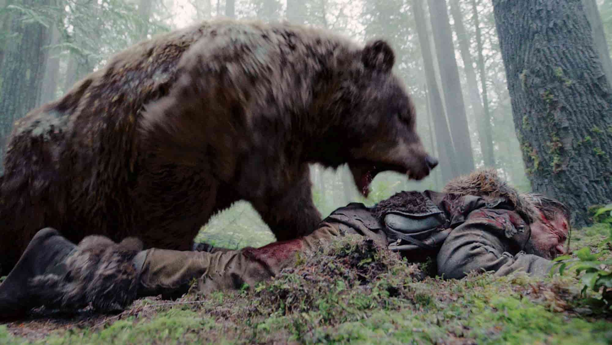 The Revenant movie - shooting Schedule - bear attack