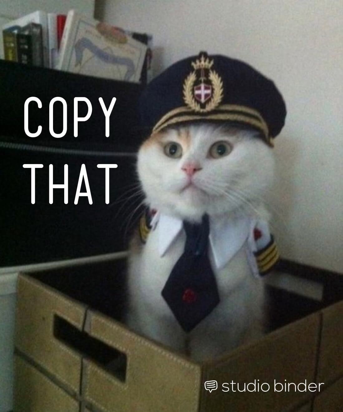 Copy That the Copy Cat