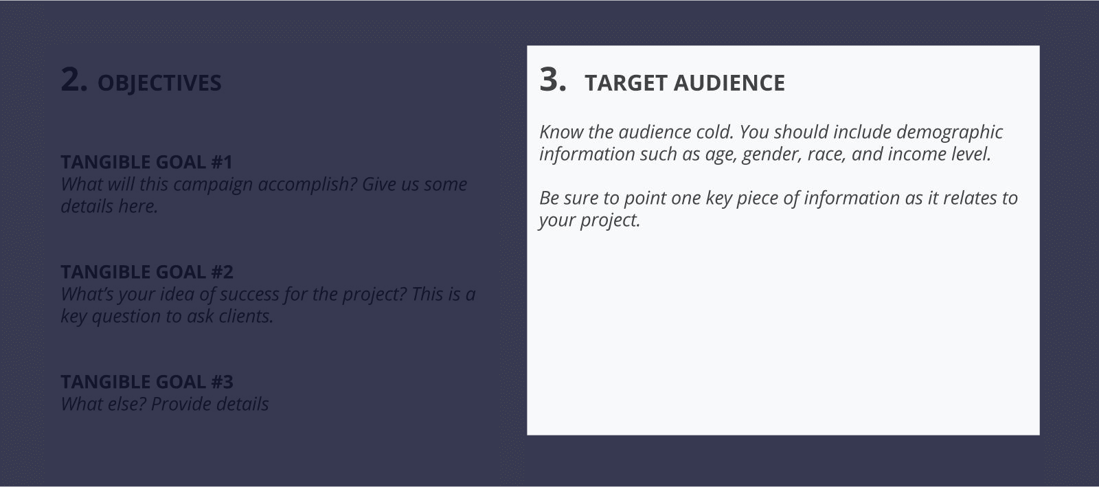 The Best Creative Brief Template For Video Agencies [Free Download] - Section 3 - Target audience