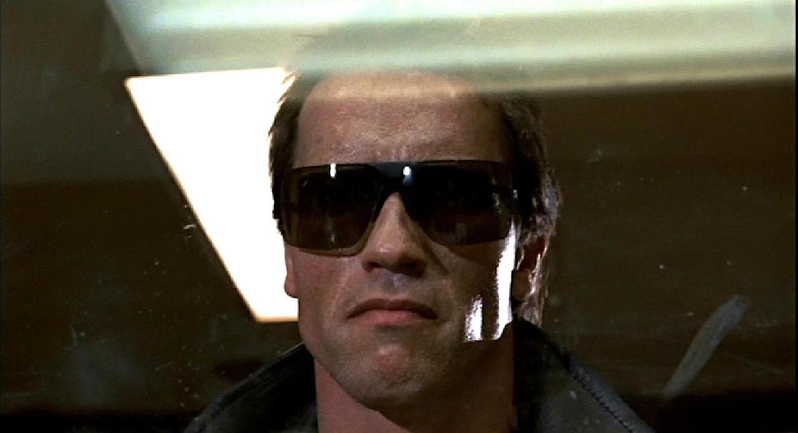 Internal and External Conflict - The Terminator