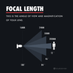 Depth of Field: The Essential Guide for Filmmakers [with Examples]