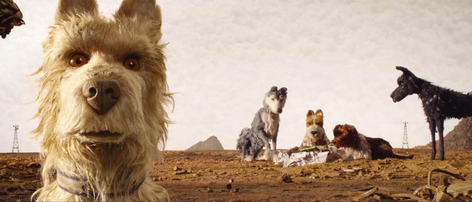 Mise En Scene Film Elements Isle of Dogs StudioBinder