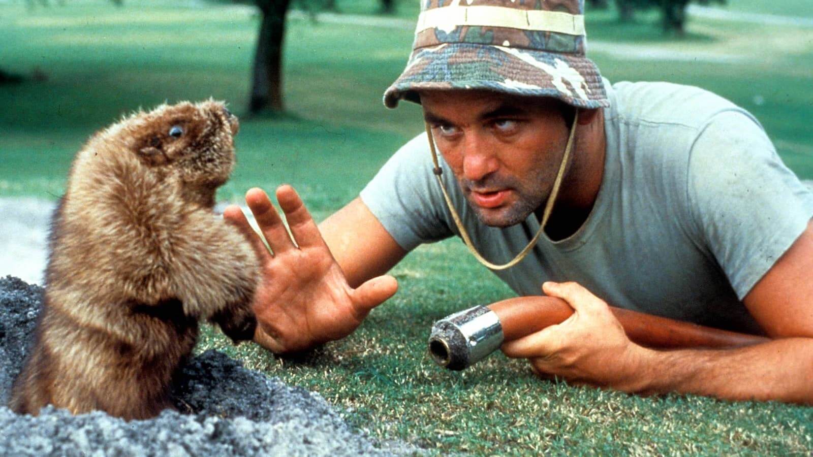 Best Comedy Movies of all Time- Caddyshack Best Comedy Movies of all Time- Caddyshack
