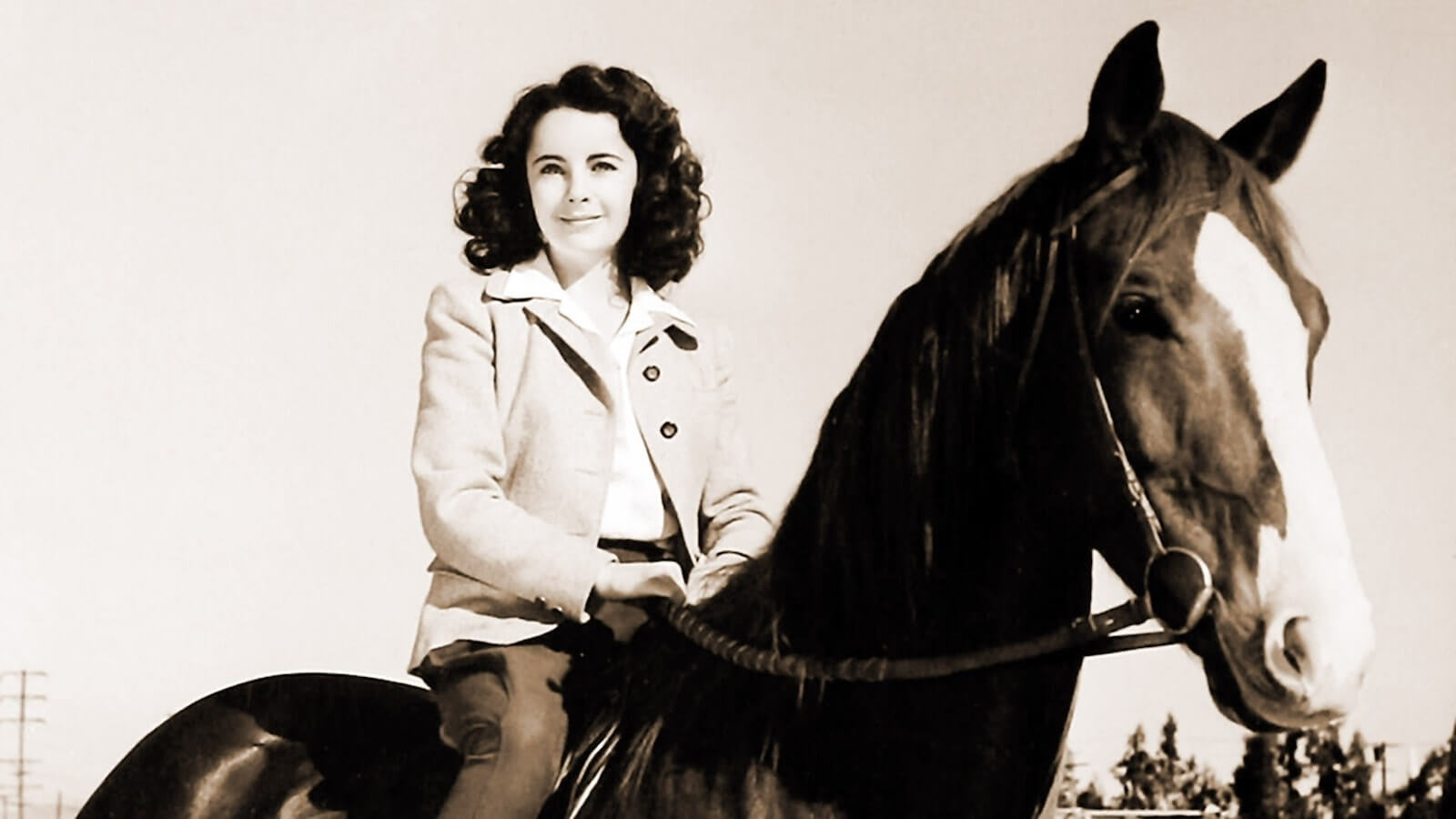 Child Actors - Child Stars - Child Actors Then and Now - Elizabeth Taylor - National Velvet - StudioBinder