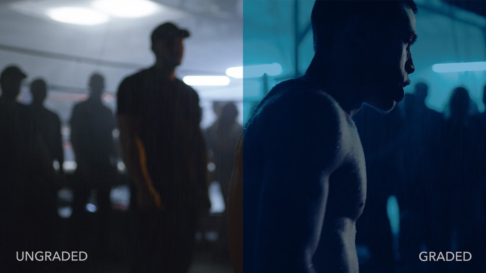 Color Grading vs. Color Correction Process for Video