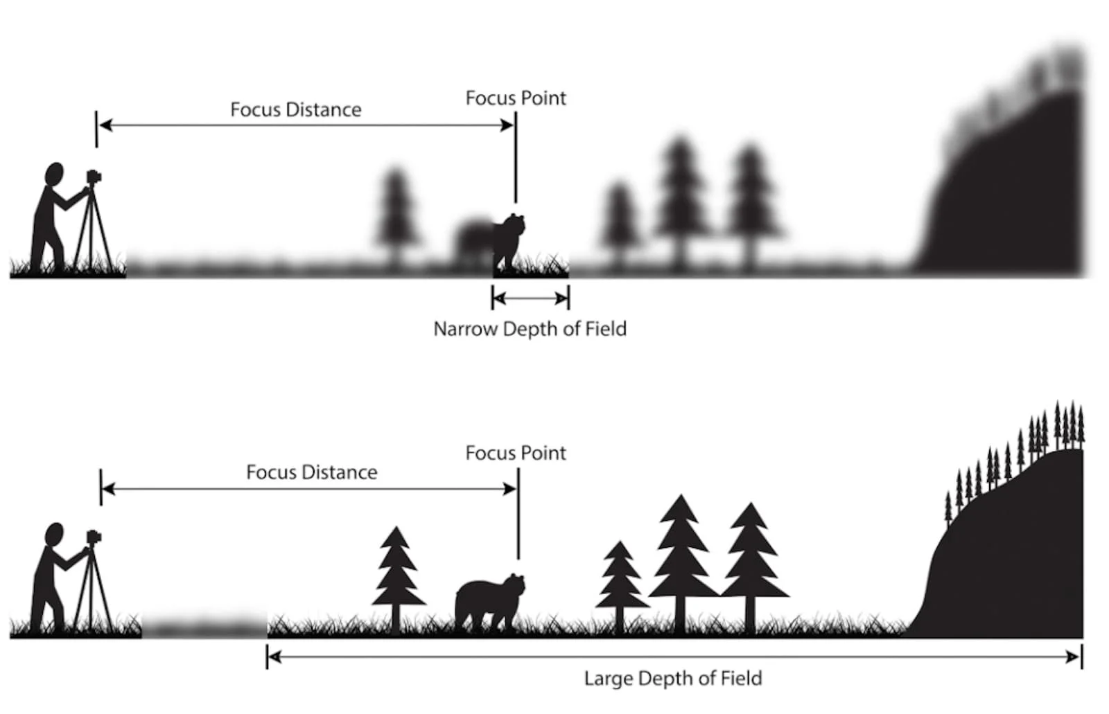 Rules Of Shot Composition In Film A Definitive Guide   Rules Of Shot Composition Depth Of Field 1024x660 Min .webp