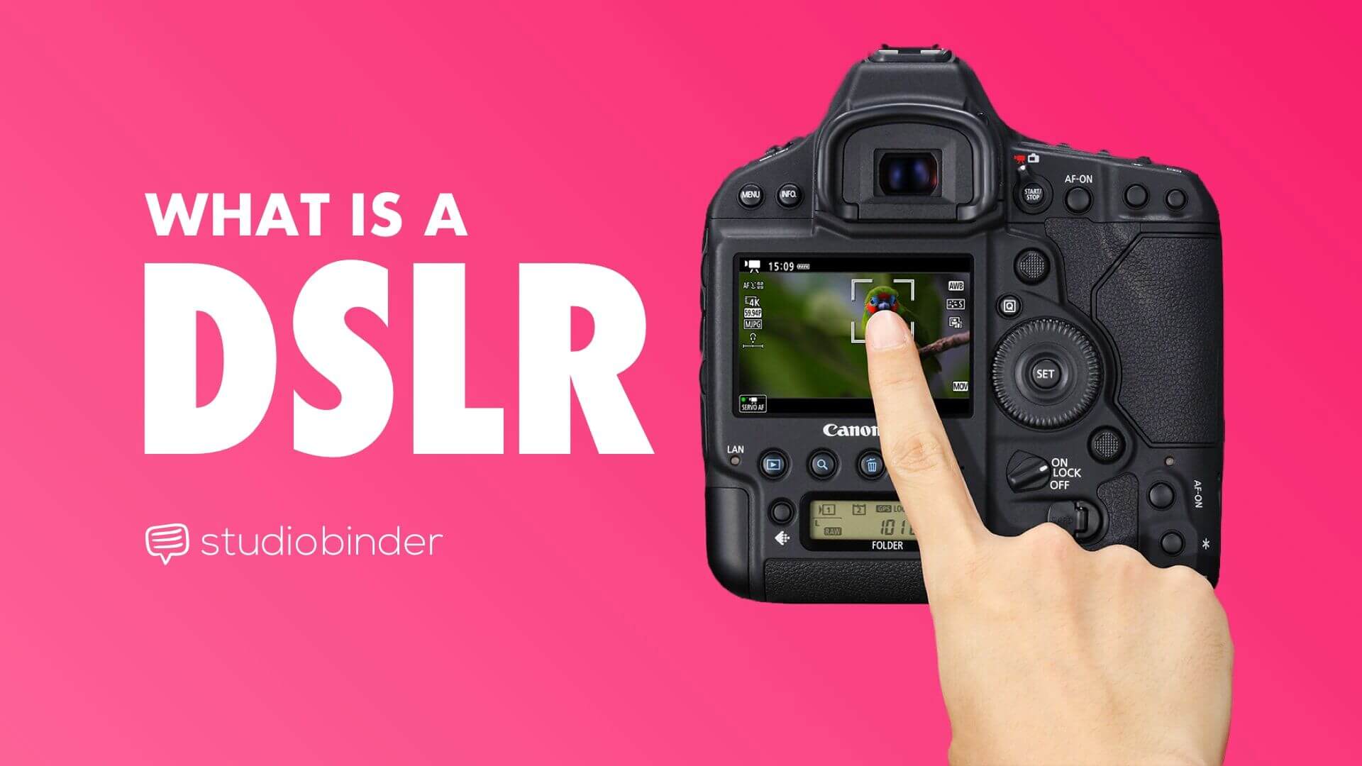 omdrejningspunkt Døde i verden skrubbe What is a DSLR Camera? Understanding Digital SLR & Mirrorless Cameras