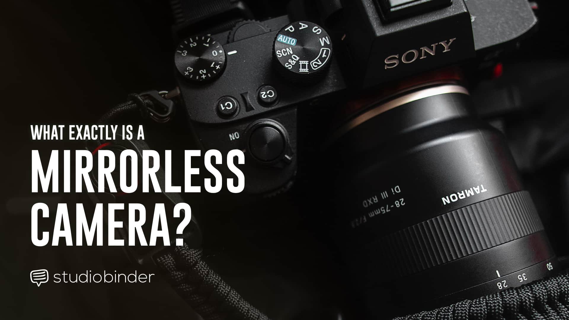 What Is A Mirrorless Camera A Quick Overview Of The Pros And Cons