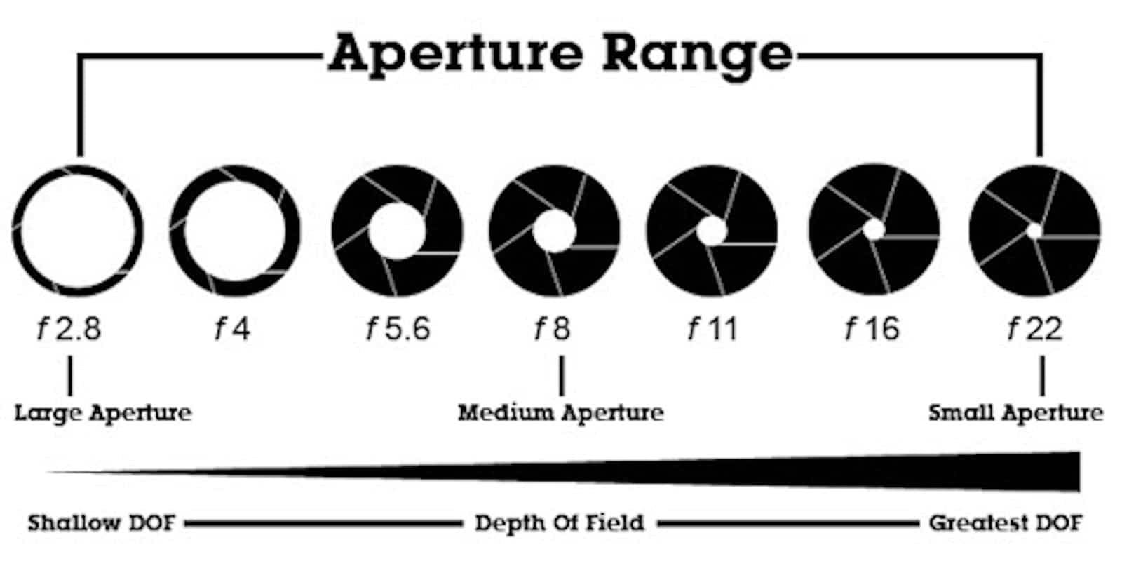 what does dof stand for