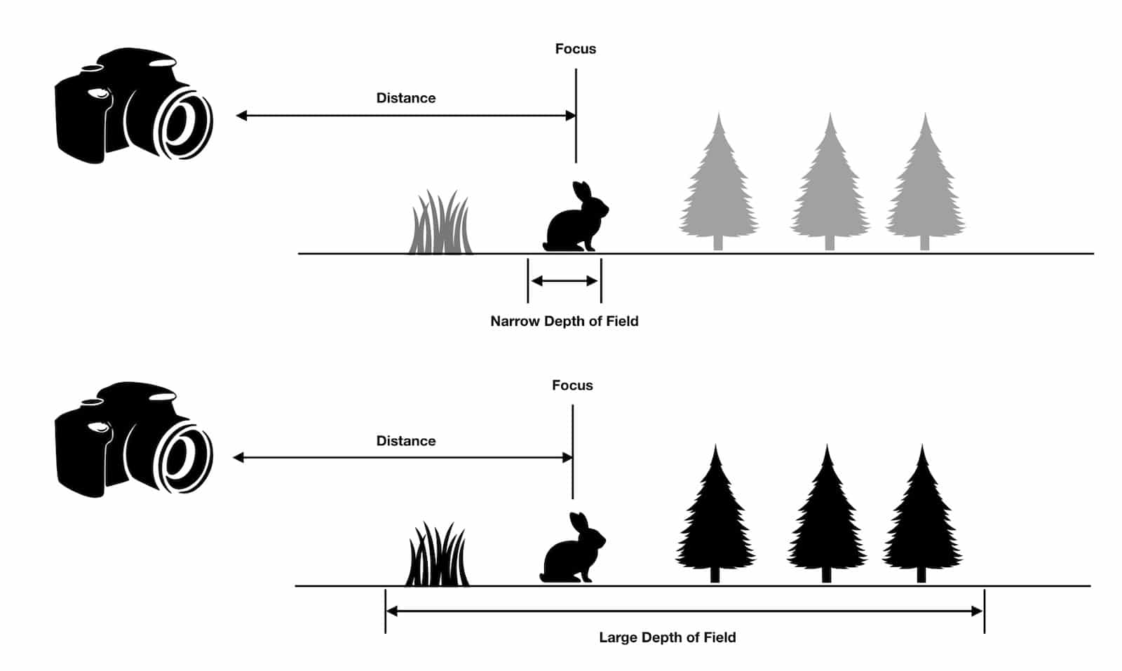 What is Depth of Field - Diagram