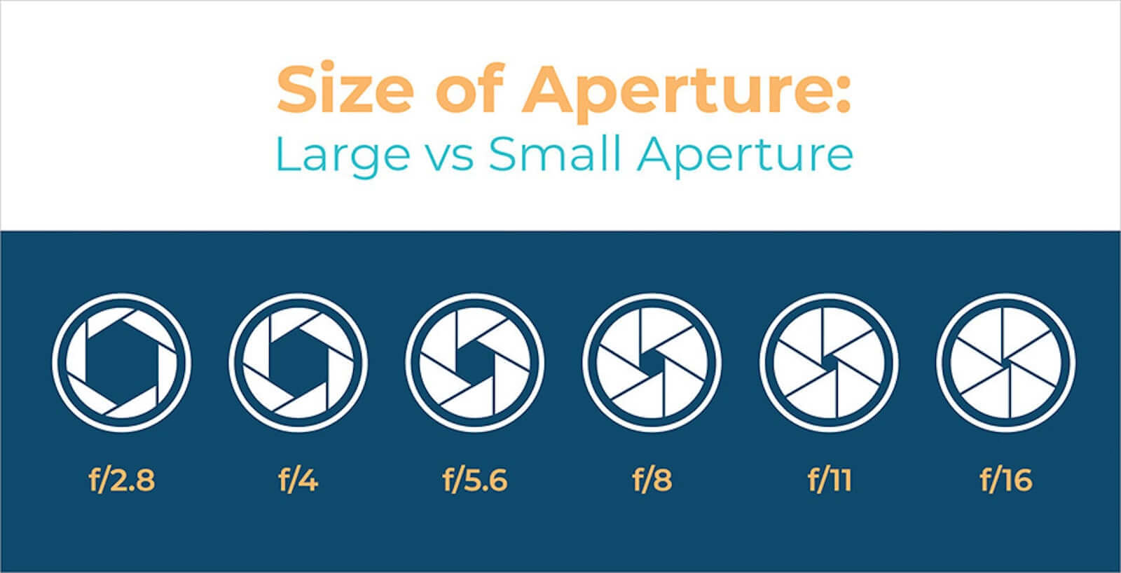 What is ISO- Aperture Size and F Stop Chart - Image