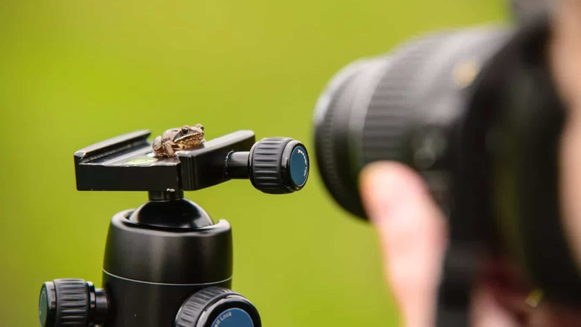 dslr for macro photography