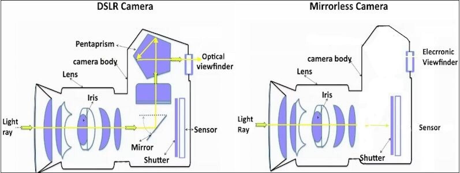 什么是反光镜相机 - 反光镜相机VS DSLR  - 图
