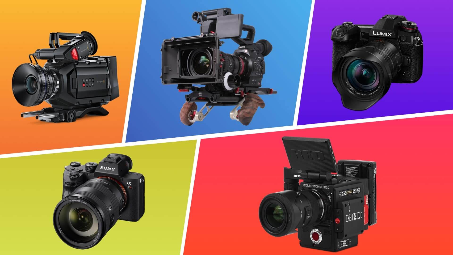 Pompeii Pedagogie geur 30 Best 4K Video Cameras for Filmmakers in 2021
