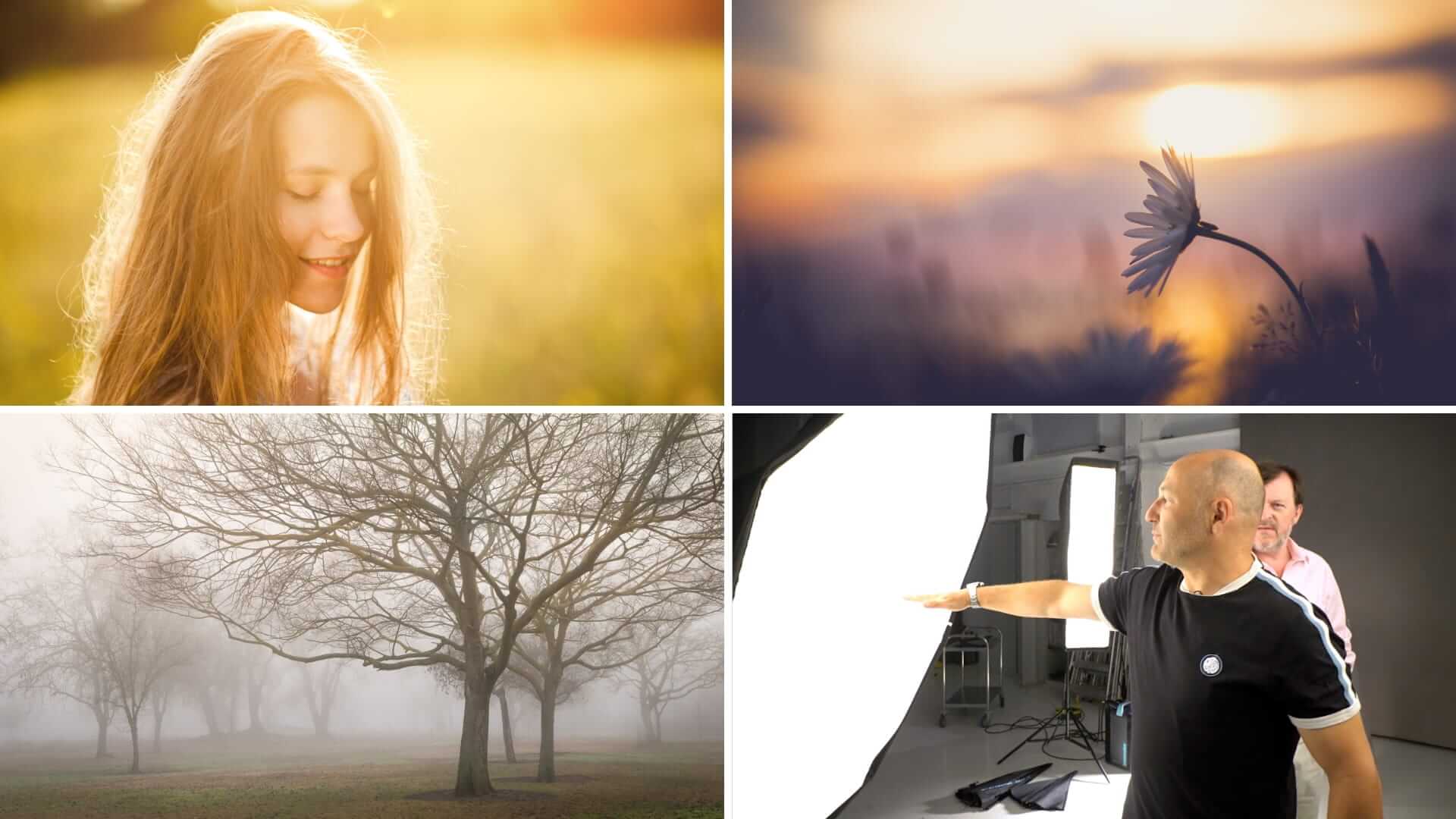 What Is Soft Light Photography Examples And Techniques