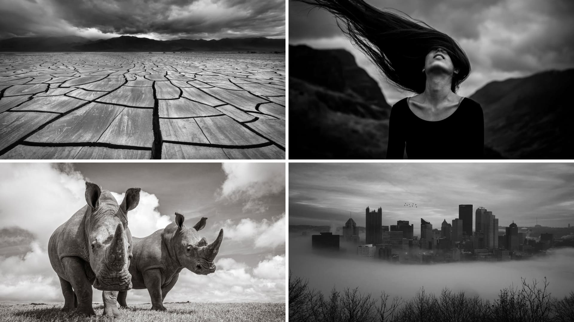 How to master black and white photography