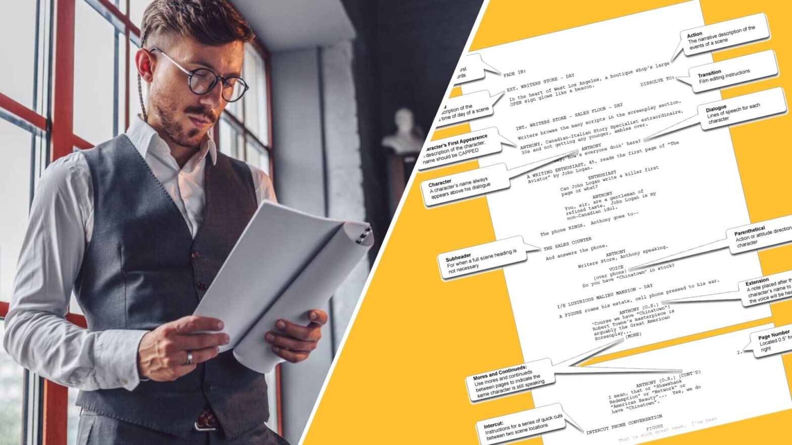 Screenplay Vs Script — Differences Explained With Examples