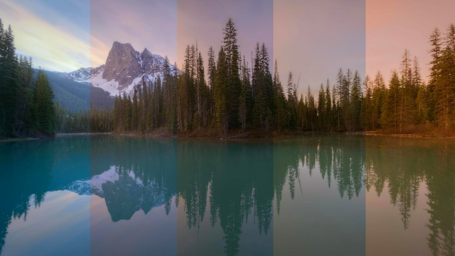 What is White Balance — How it Works and Why It Matters Featured
