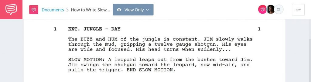 how-to-write-slow-motion-in-a-script-formatting-and-examples
