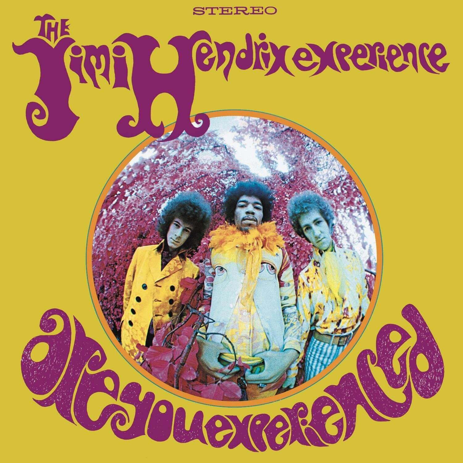 What is Fisheye Lens - Jimmy Hendrix Album Cover