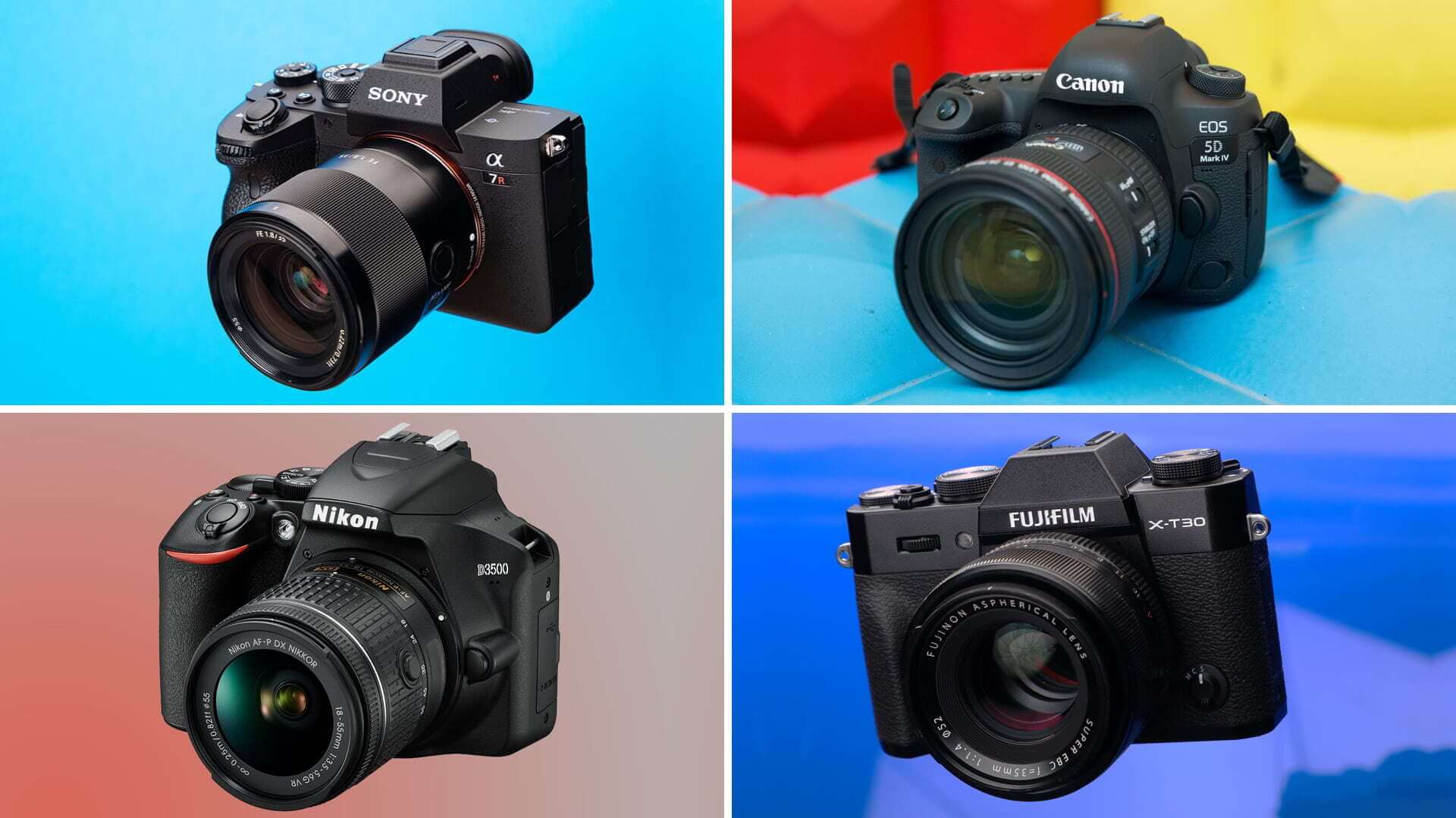 digital dslr or mirrorless camera