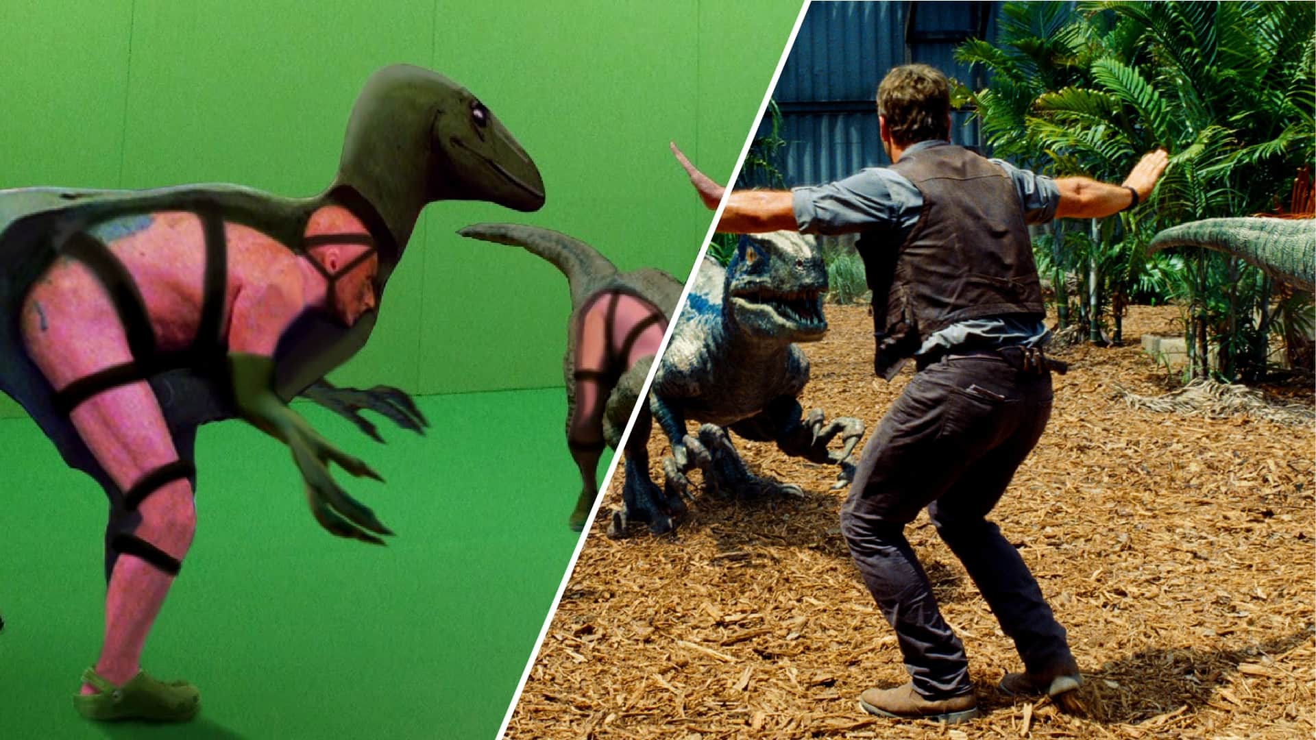 Tìm hiểu về why green background is used for vfx trong sản xuất hiệu ứng hình ảnh