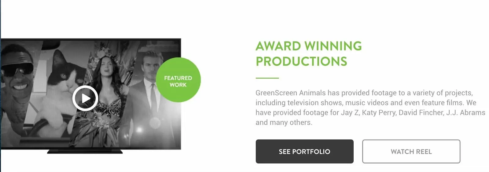 Best Green Screen Background Video - Portfolio - Green Screen Animals