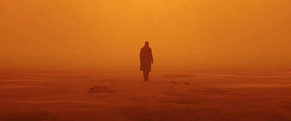 Blade Runner 2049 Wide Shot vs Full shot example