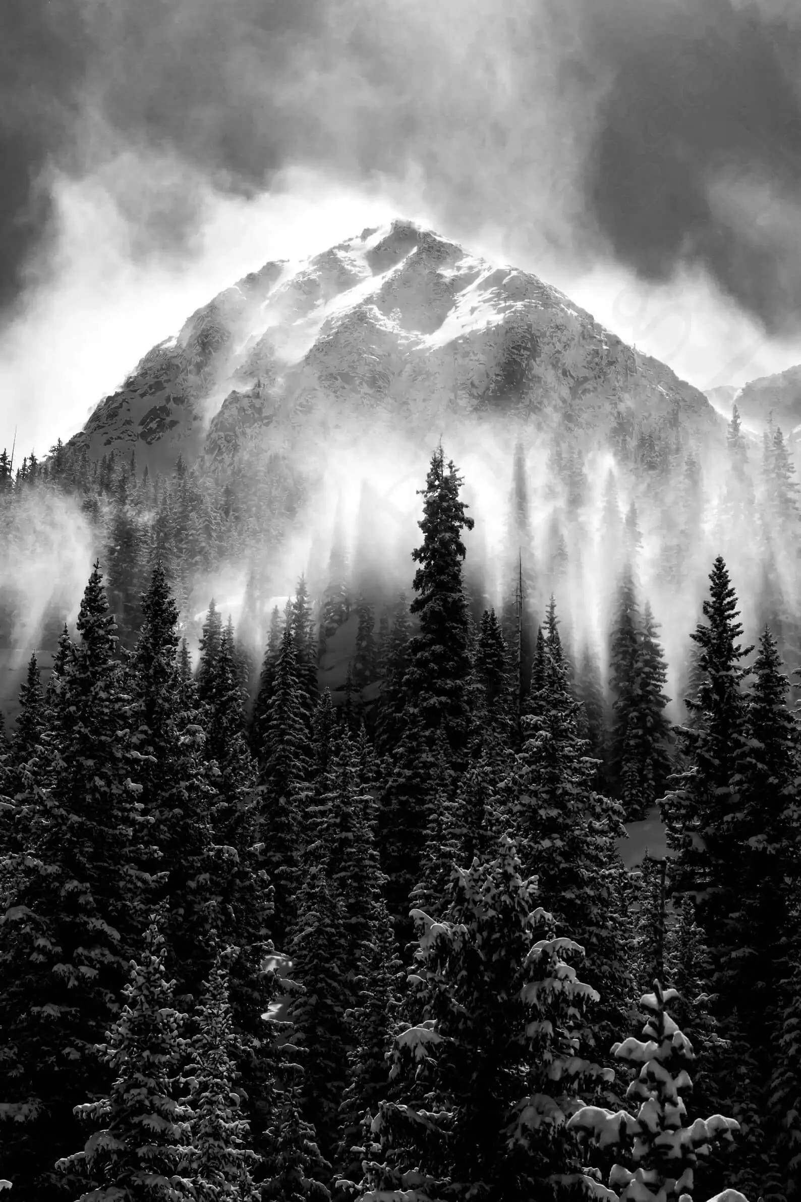 Black and White Pictures — Where to Find Amazing Pics & Prints