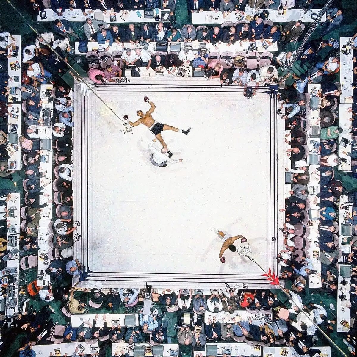 Great Sports Images - Muhammad Ali Stands Victorious After Knocking Out ‘Big Cat’ Williams - Neil Leifer