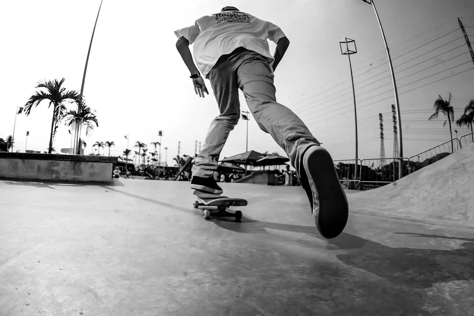 Great Sports Pictures - A Skater Amidst the Palm Trees - Pablo Vaz