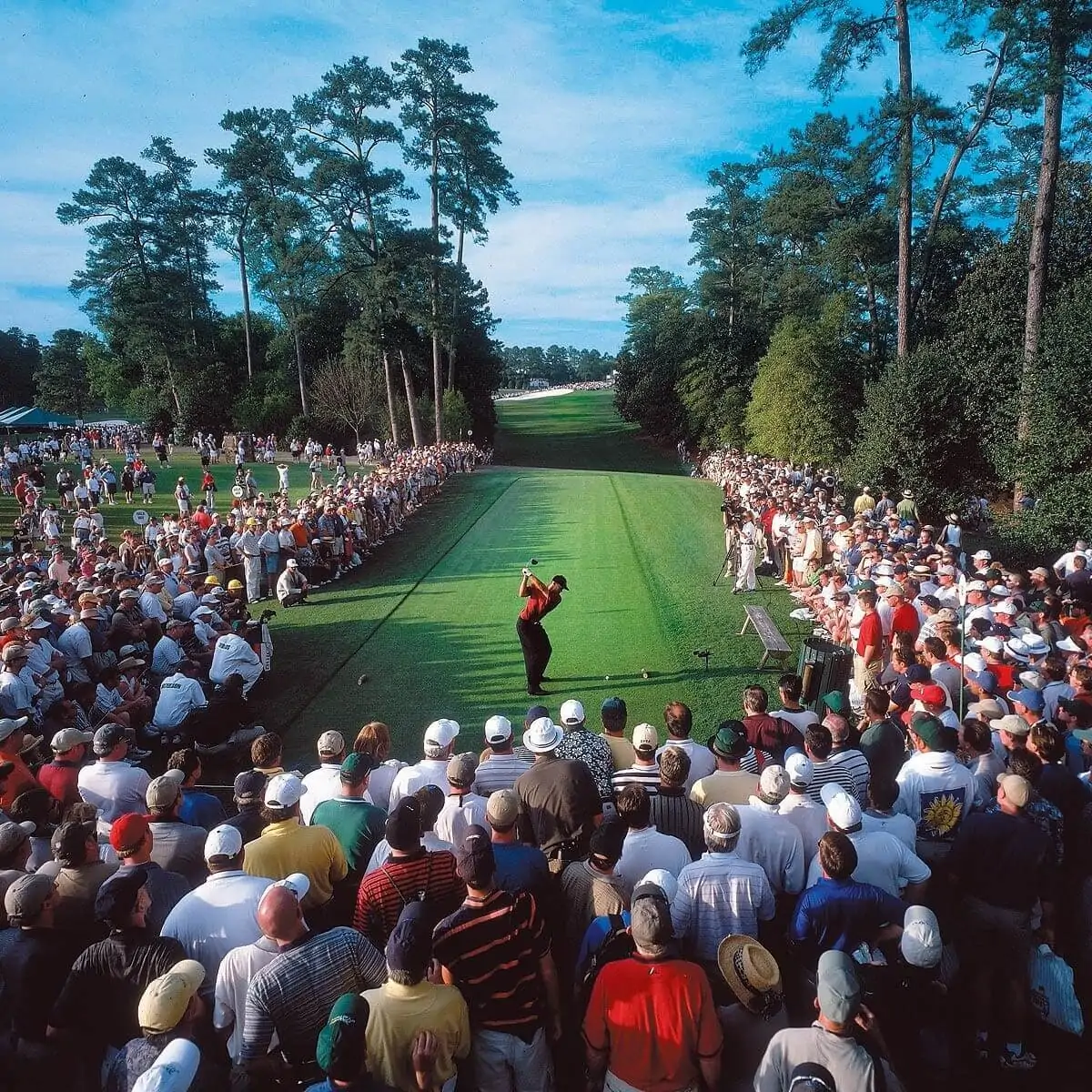 Sports Pictures - Tiger Woods Tees Off at The Masters - Fred Vuich