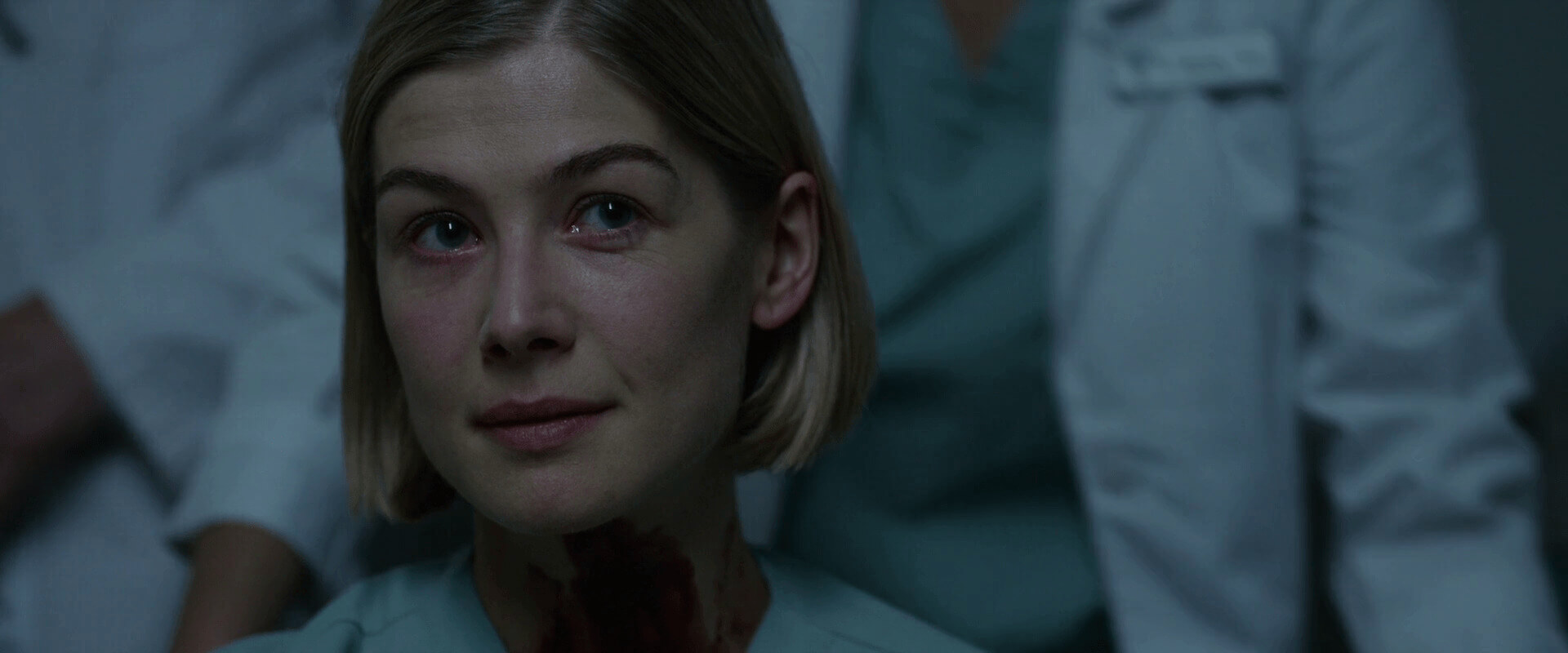 David Fincher Director Colors in Gone Girl