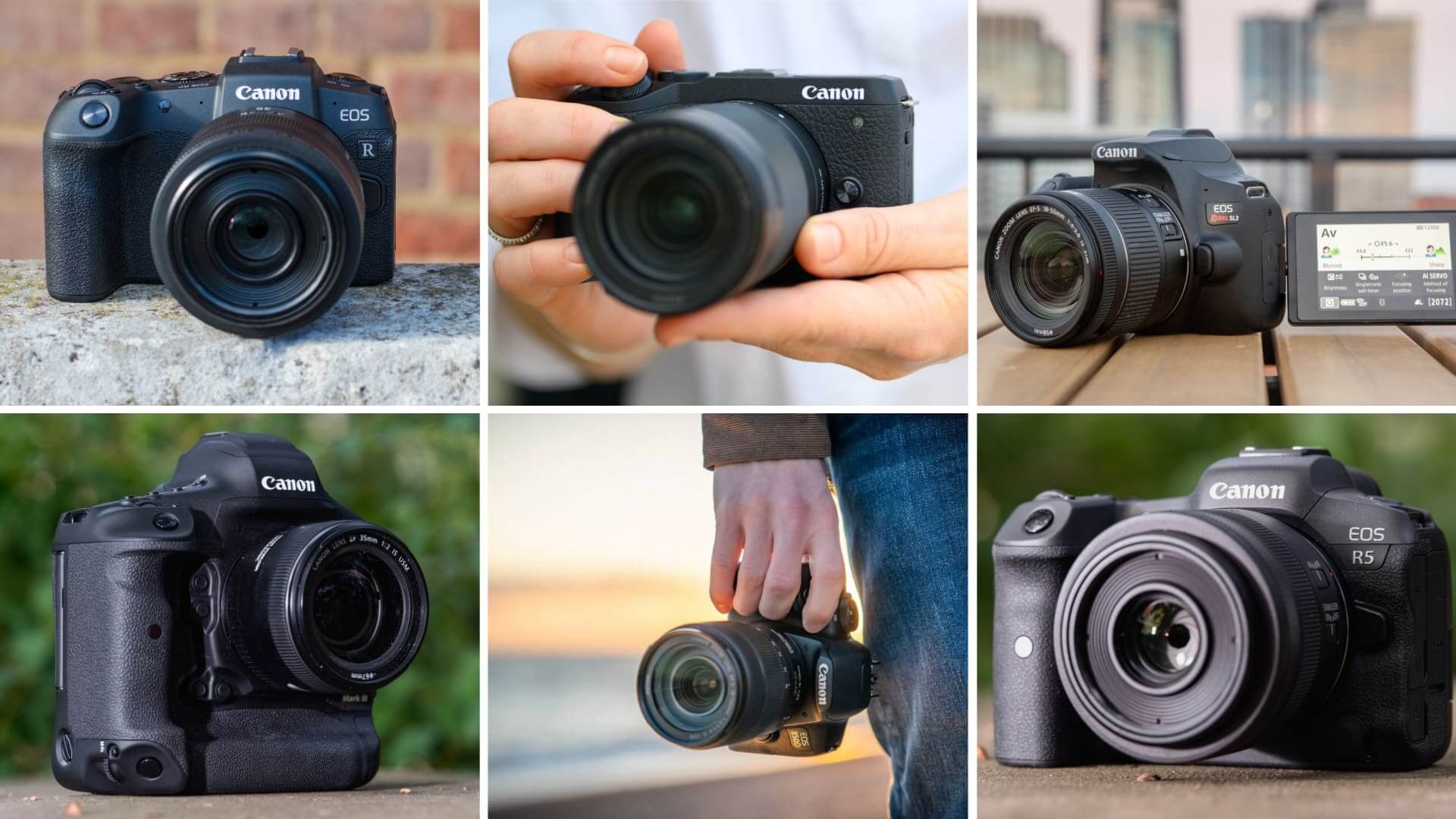 Drama schipper Net zo Best Canon Camera Ranked — Photo, Video, DSLR, Mirrorless
