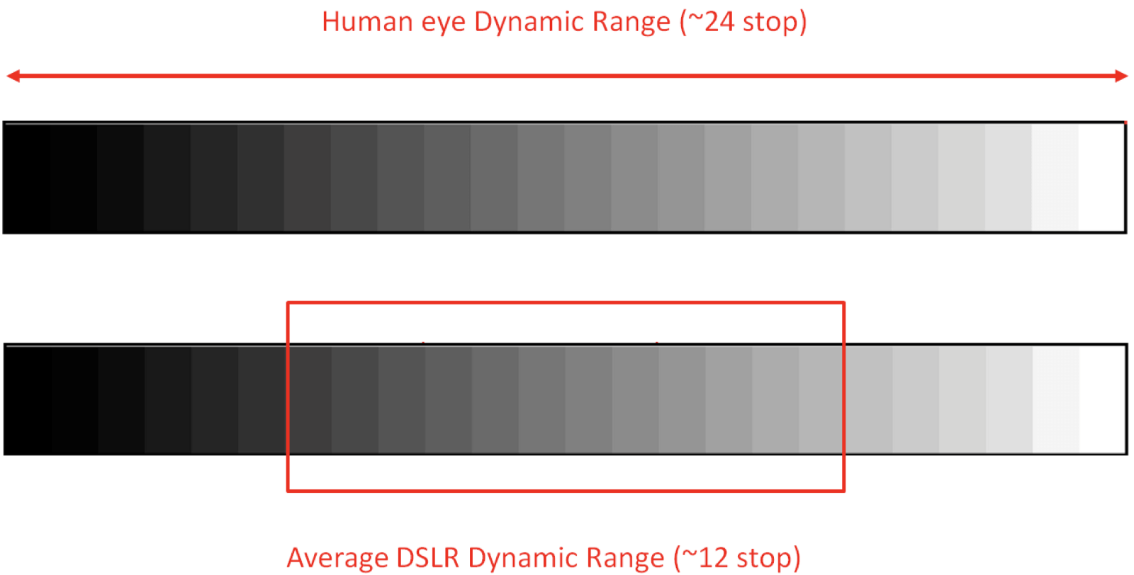 Dynamic range camera scale