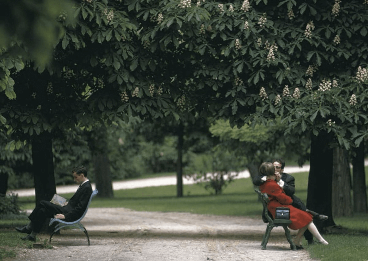 Street photography examples — photo by Joel Meyerowitz