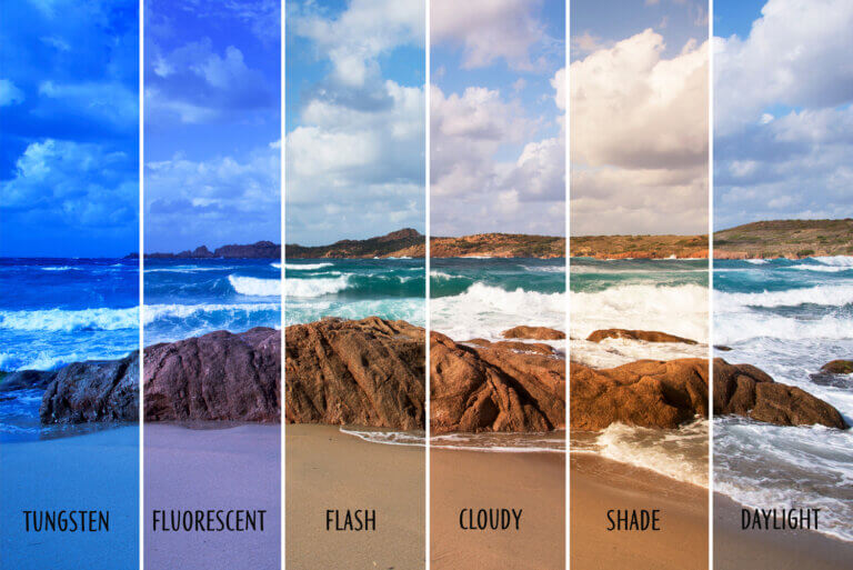 What Is White Balance Camera