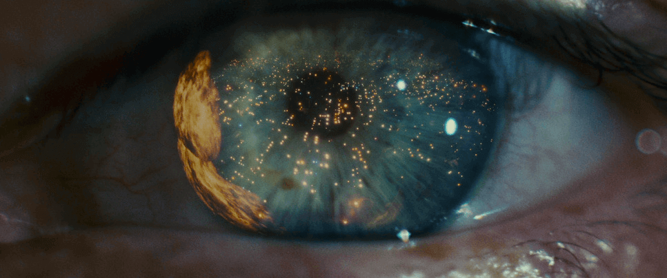 What is Composition in Art Blade Runner Fill the frame composition examples