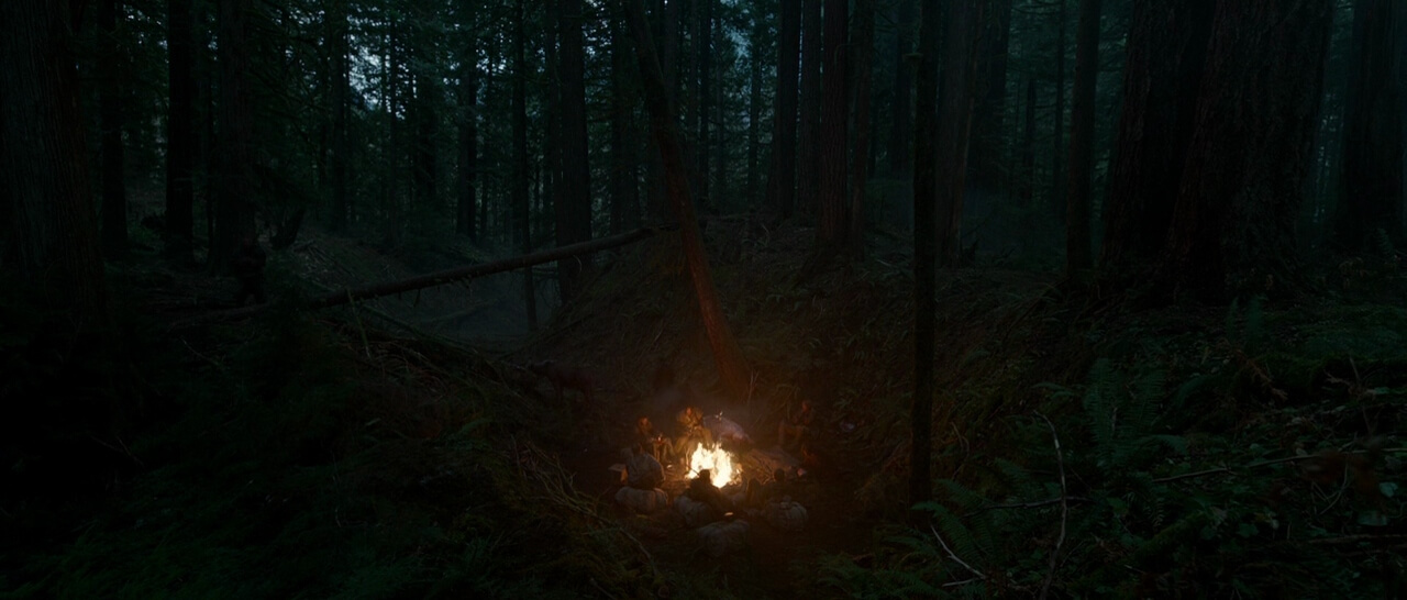 Film Lighting The Ultimate Guide The Revenant The Revenant makes heavy use of natural light