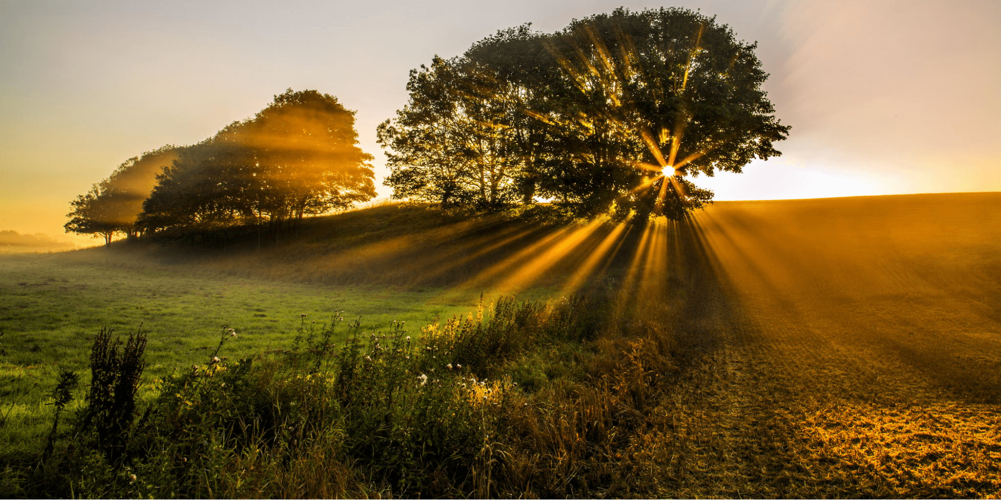 Natural Light Photography Photos with natural light at golden hour