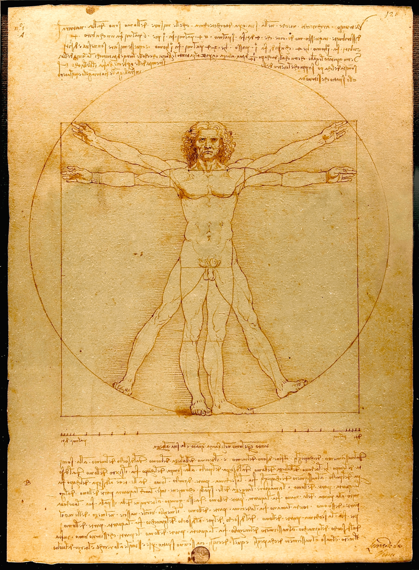 What is Proportion in Art Proportion in Art Examples The Vitruvian Man by Leonard Da Vinci