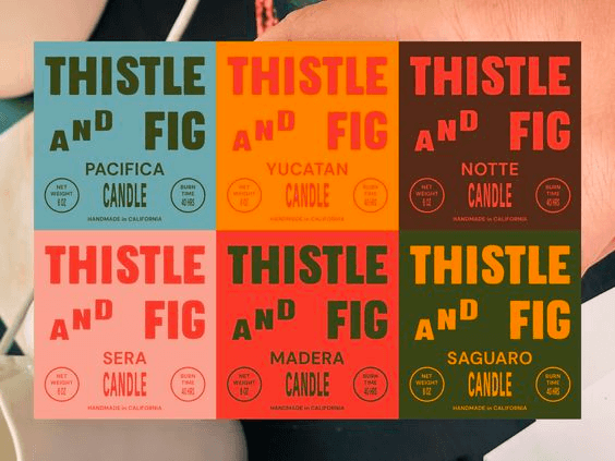 What is a Color Scheme Color Scheme Examples Thistle and Pig Packaging