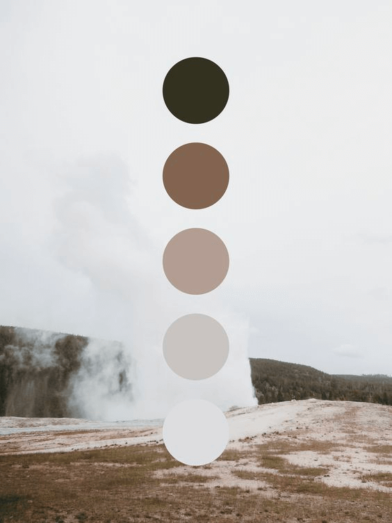 What is a Color Scheme Neutral Color Scheme Meaning