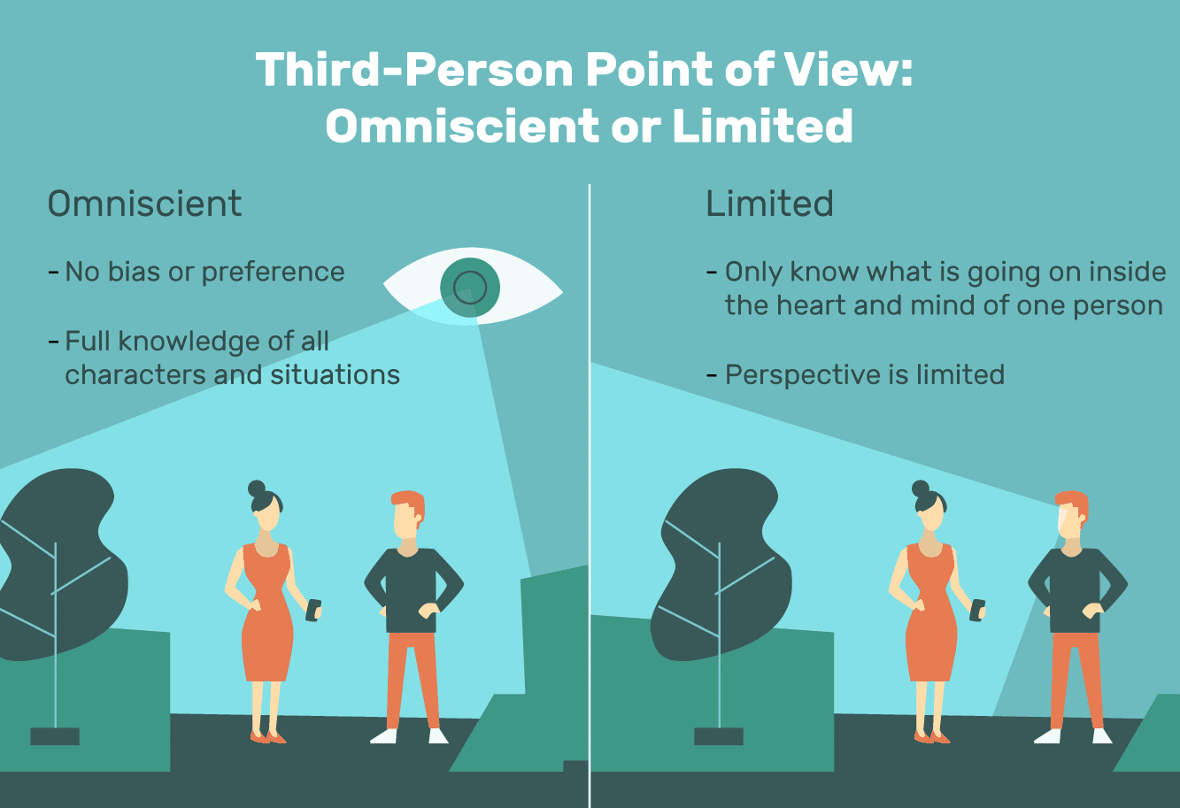 What is Third Person Limited Point of View