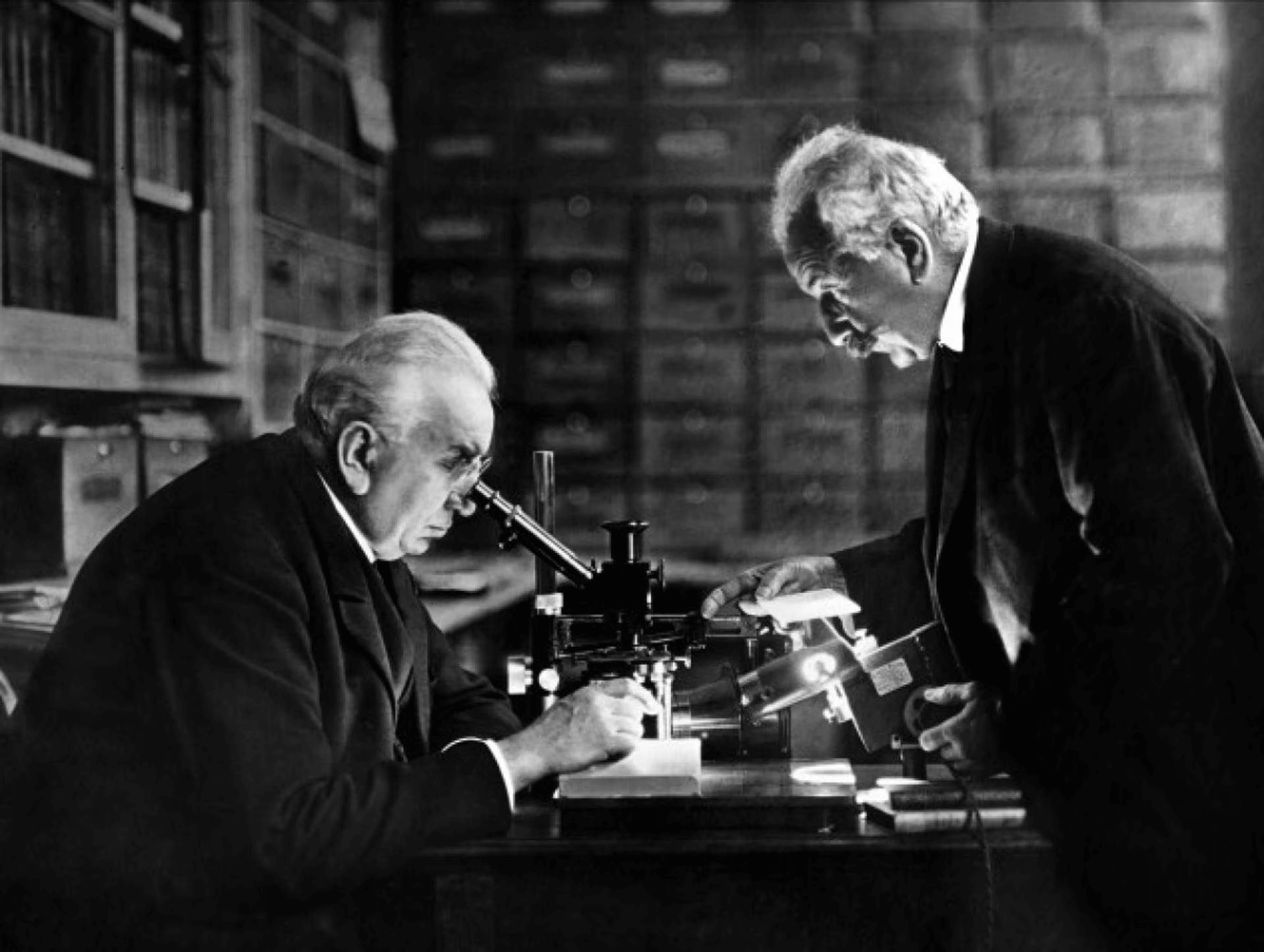 What is a Screenplay Lumieres at work