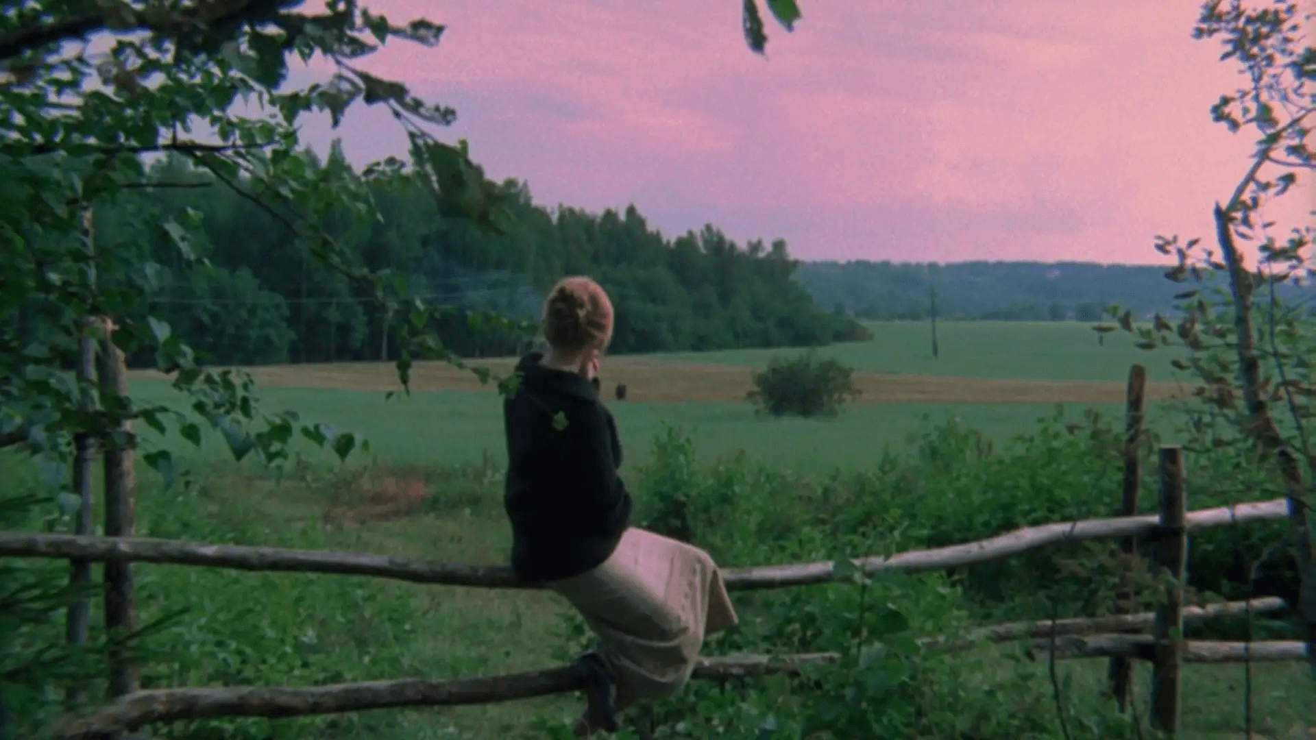 What is Avant Garde Cinema The Mirror by Andrei Tarkovsky