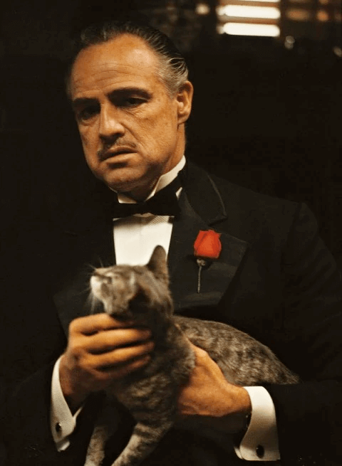What is a Film Still and What are They Used For The Godfather Still Shot