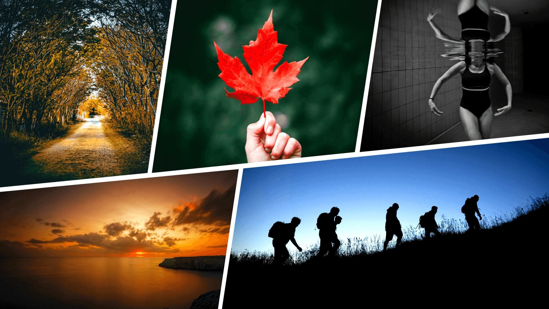 What is Vignetting in Photography And Why Its Used StudioBinder