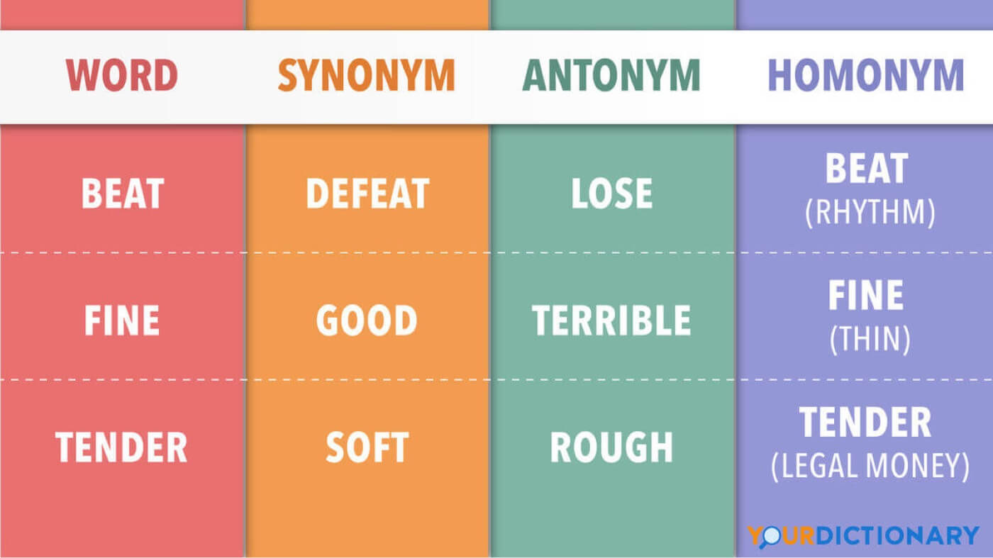 What is a Synonym Synonym vs Antonym vs Homonym