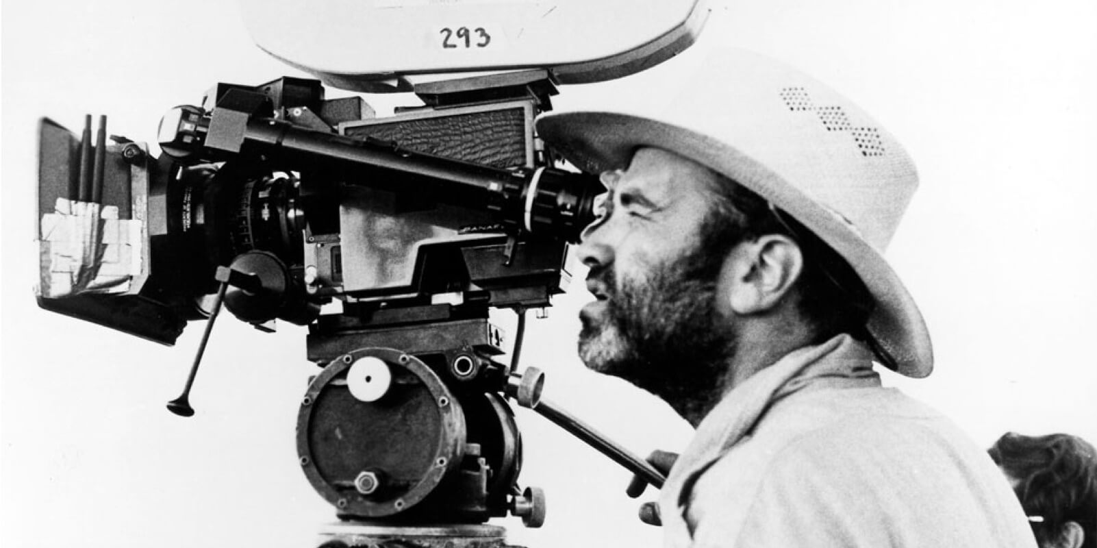 Best Movie Directors of All Time Terrence Malick ()